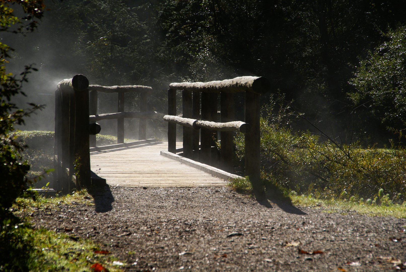 Nebel - Brücke