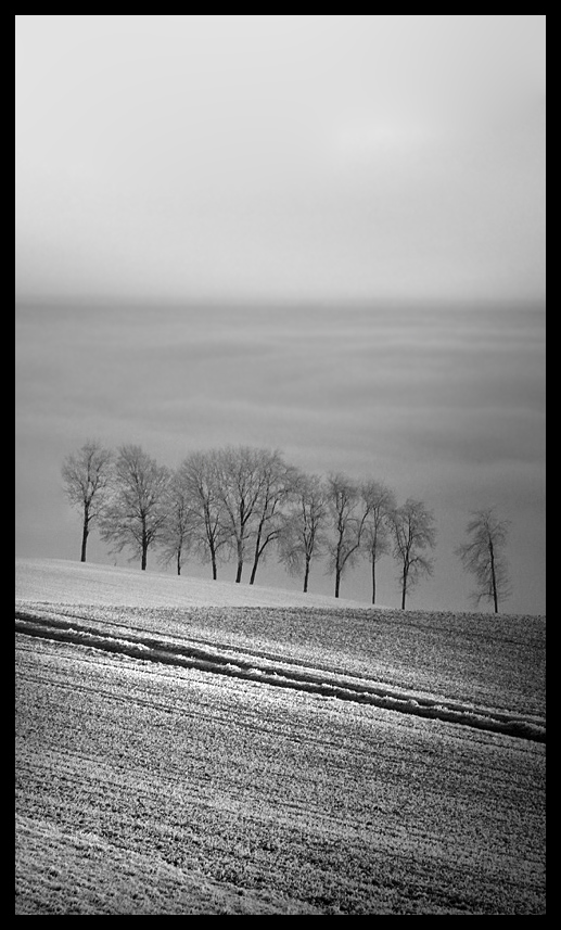 nebel b+w