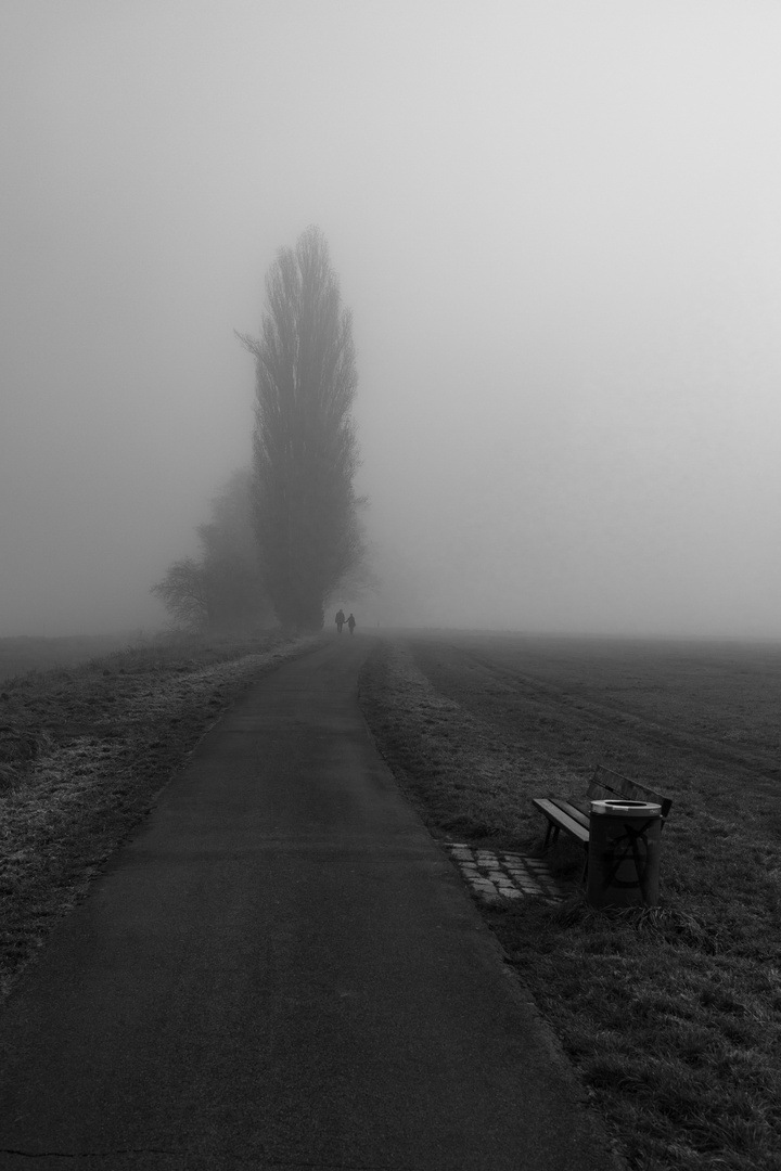 Nebel