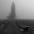 Nebel