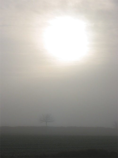 Nebel