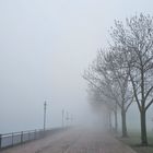 Nebel