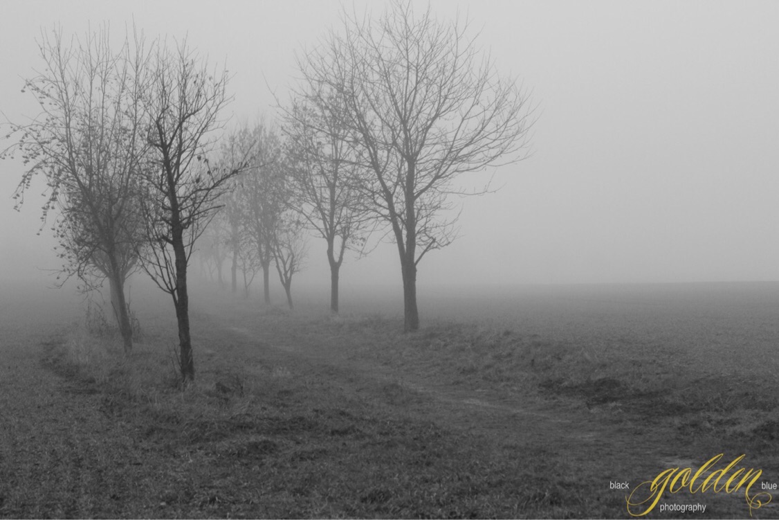 Nebel