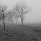 Nebel