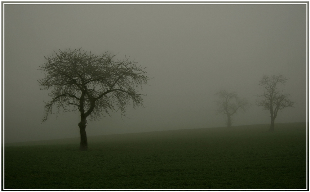 Nebel