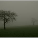 Nebel