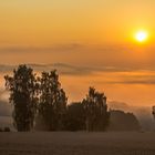 Nebel Chasing bei Löhnberg