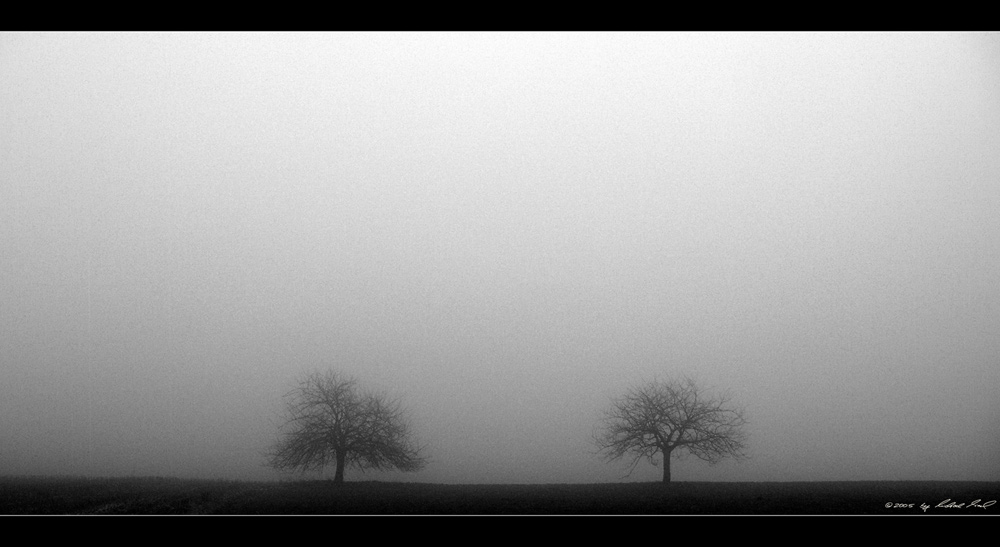 Nebel