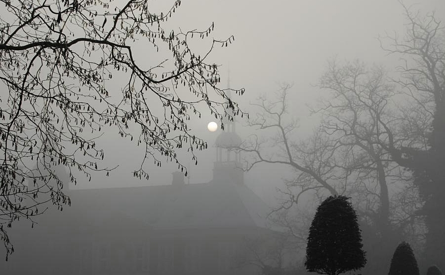 Nebel