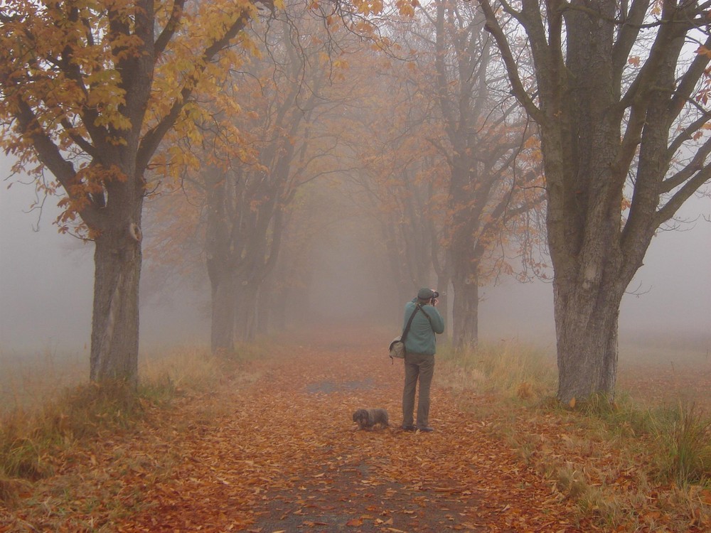 Nebel, Dackel und ein unbekannter Fotograf