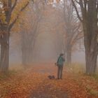 Nebel, Dackel und ein unbekannter Fotograf