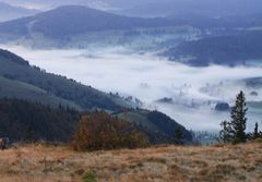 Nebel, der Anfang im Wasserkreislauf