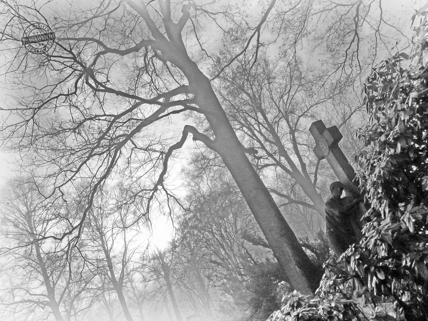 Nebel der Erinnerung