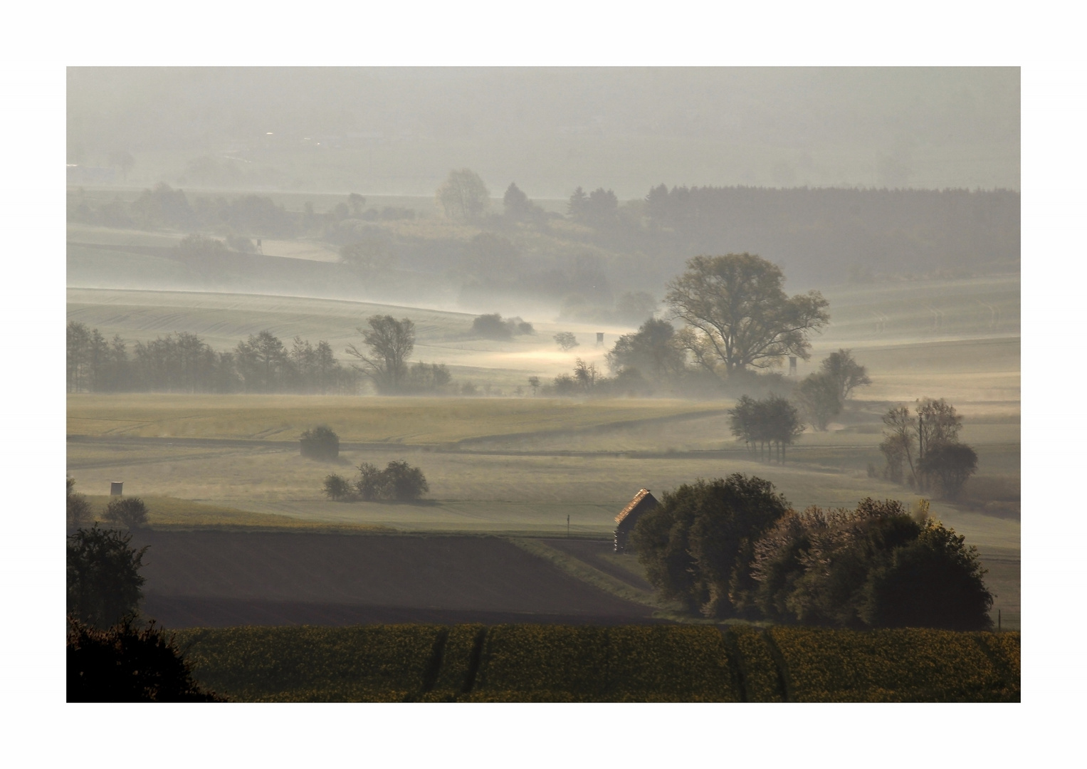 Nebel der Morgenstille