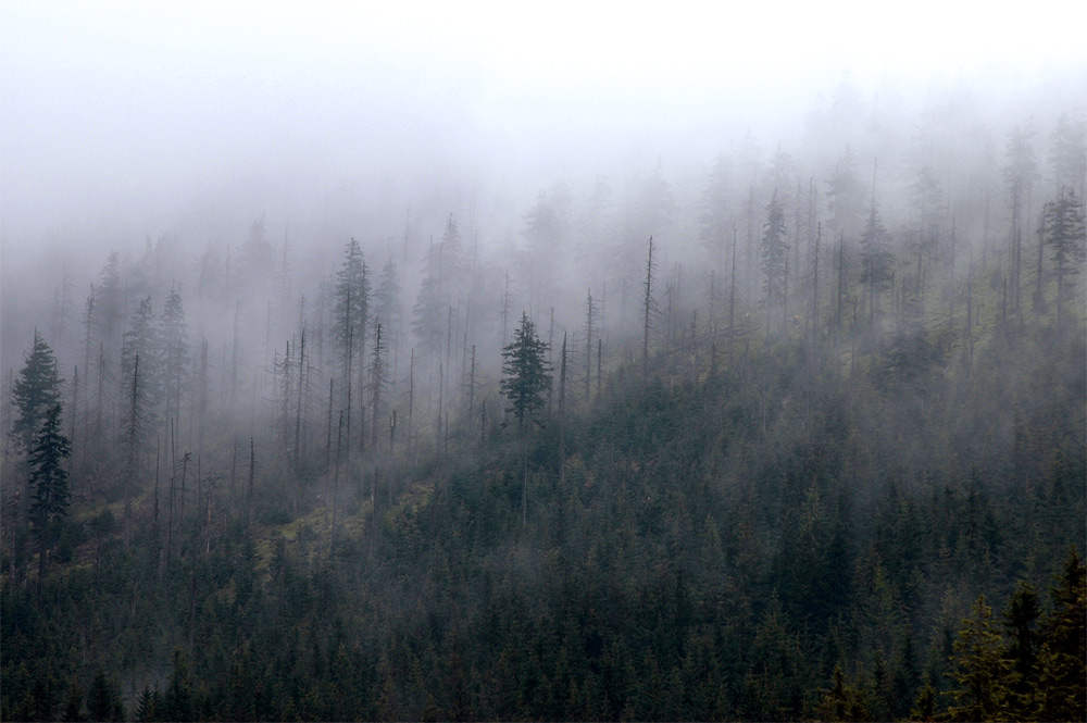 Nebel der Zeit