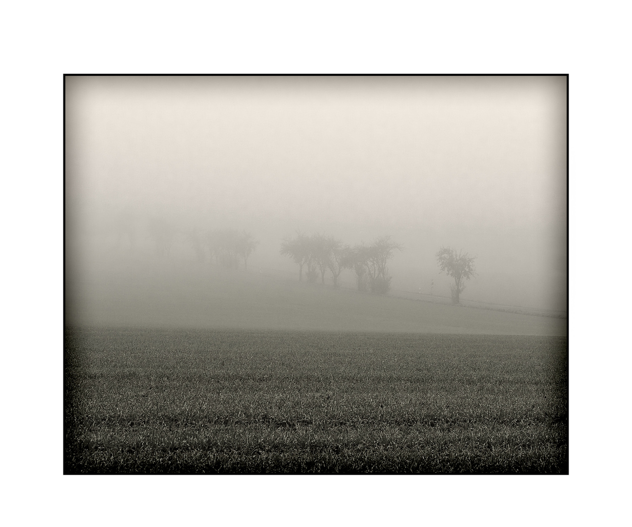 Nebel des Grauens