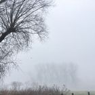 Nebel des Grauens