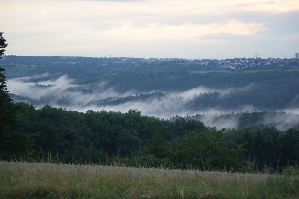 (Nebel des Grauens...)