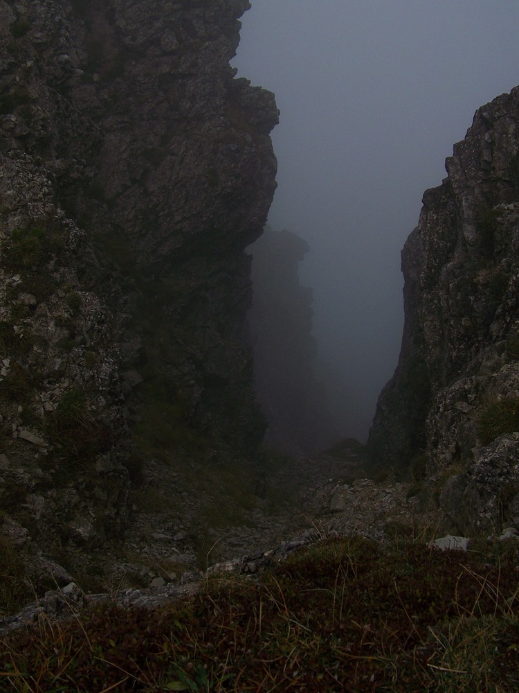 Nebel des Grauens