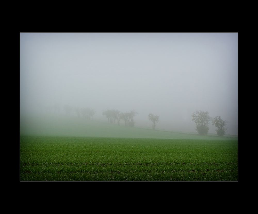 Nebel des Grauens