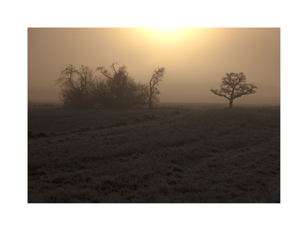 Nebel des Grauens