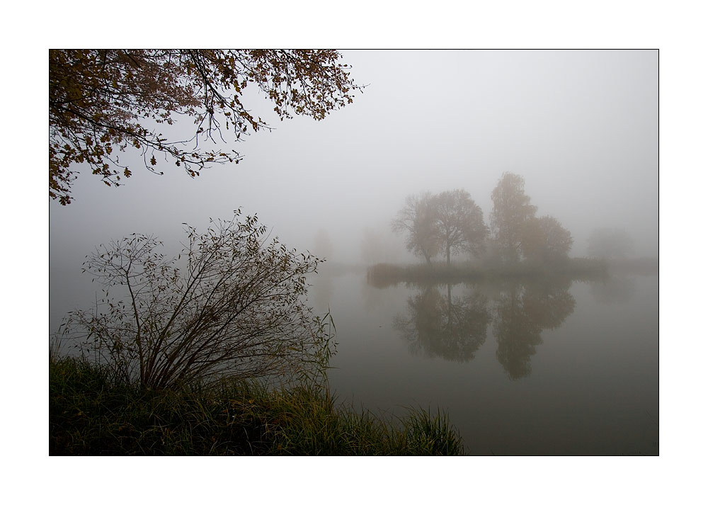 Nebel des Grauens