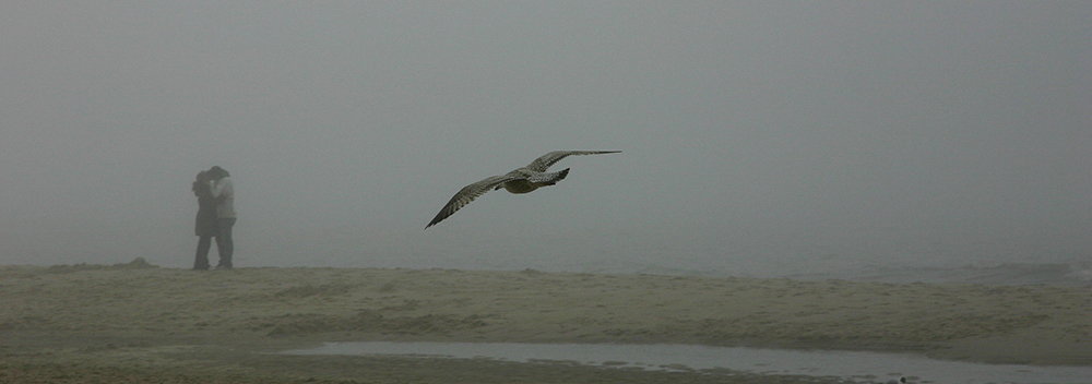 Nebel des Grauens