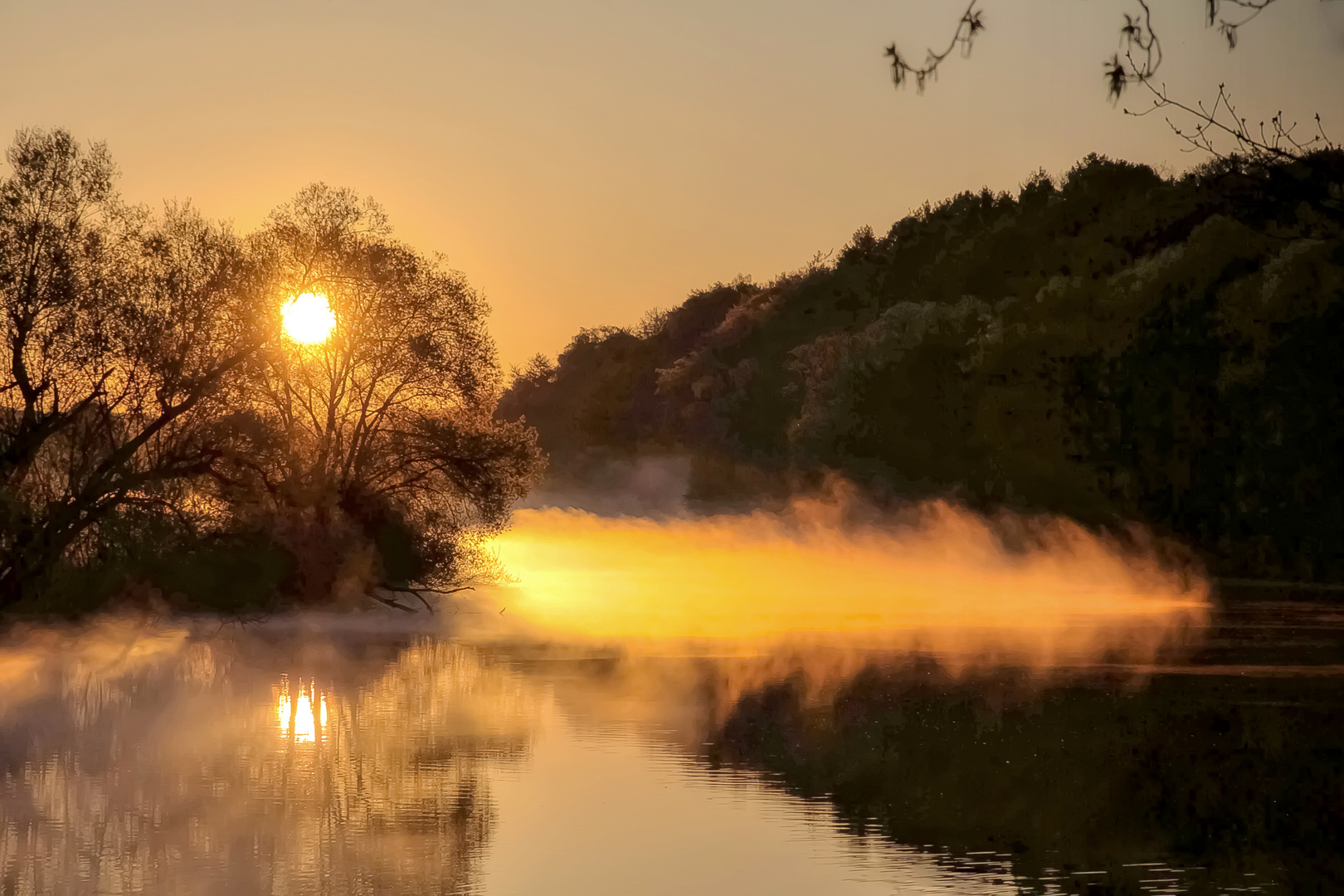 Nebel des Grauens...