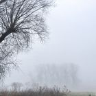 Nebel des Grauens - vogelfrei