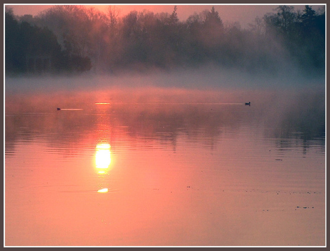 Nebel des Morgens