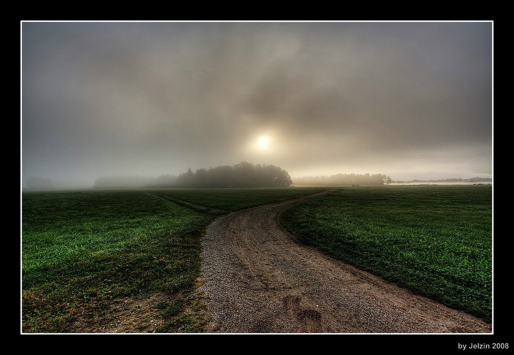 Nebel des Morgens