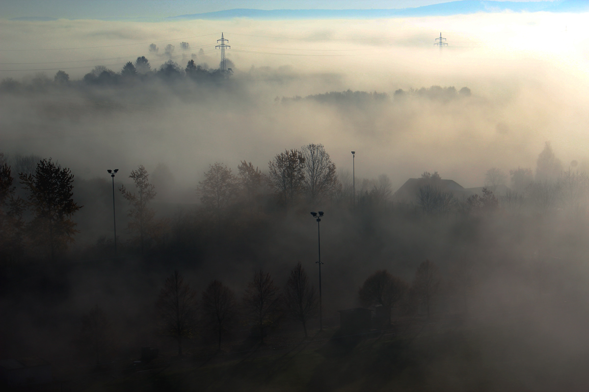 Nebel des Schauens