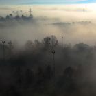 Nebel des Schauens