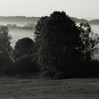 Nebel - die Natur steht auf