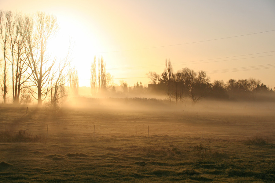 Nebel