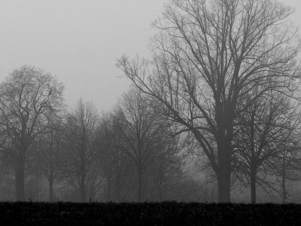 Nebel