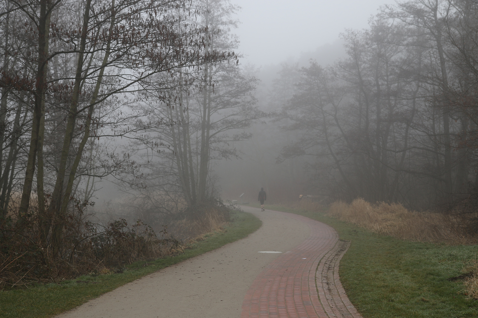 Nebel