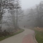 Nebel