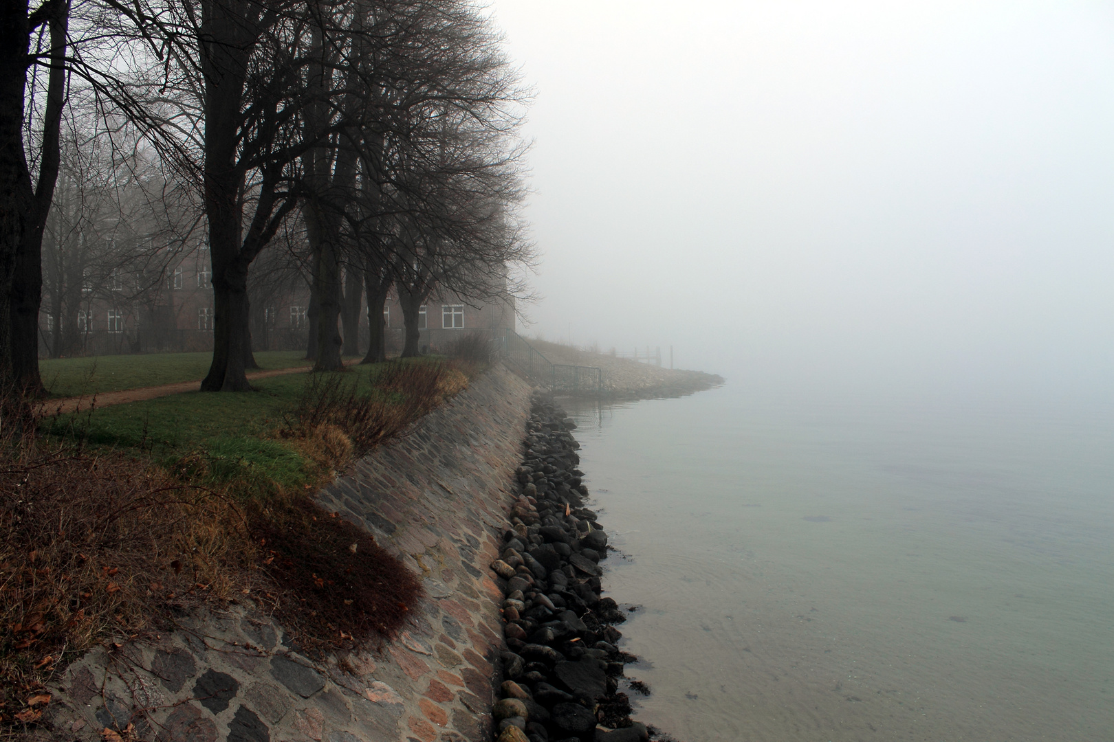 Nebel