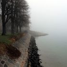 Nebel