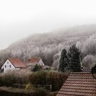 Nebel