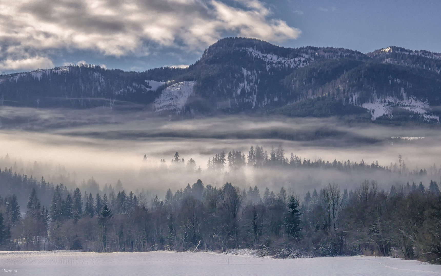 NEBEL Ein Vorhang Aus Luft Foto & Bild