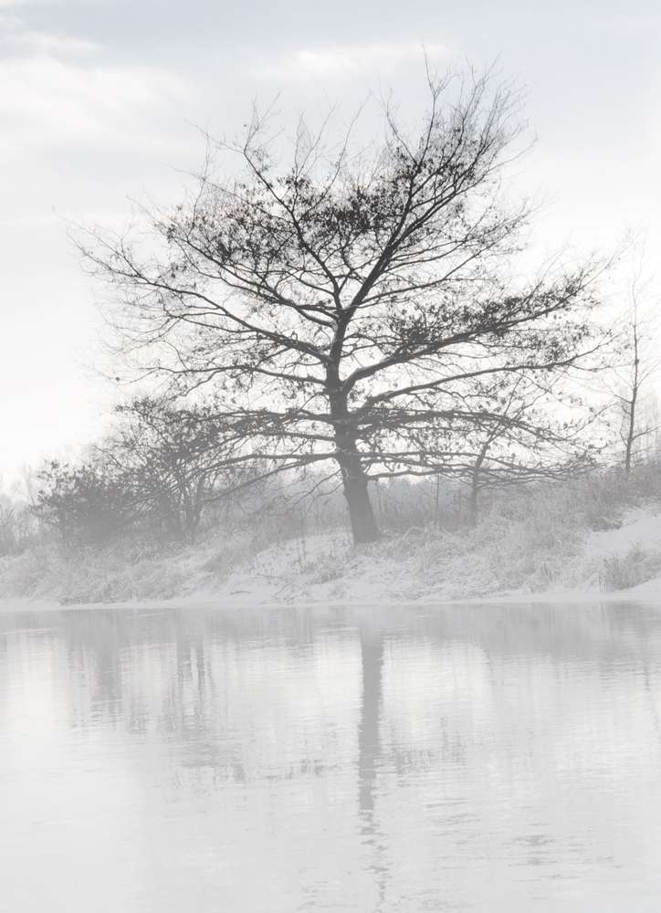 Nebel ~ ein Vorhang aus Luft