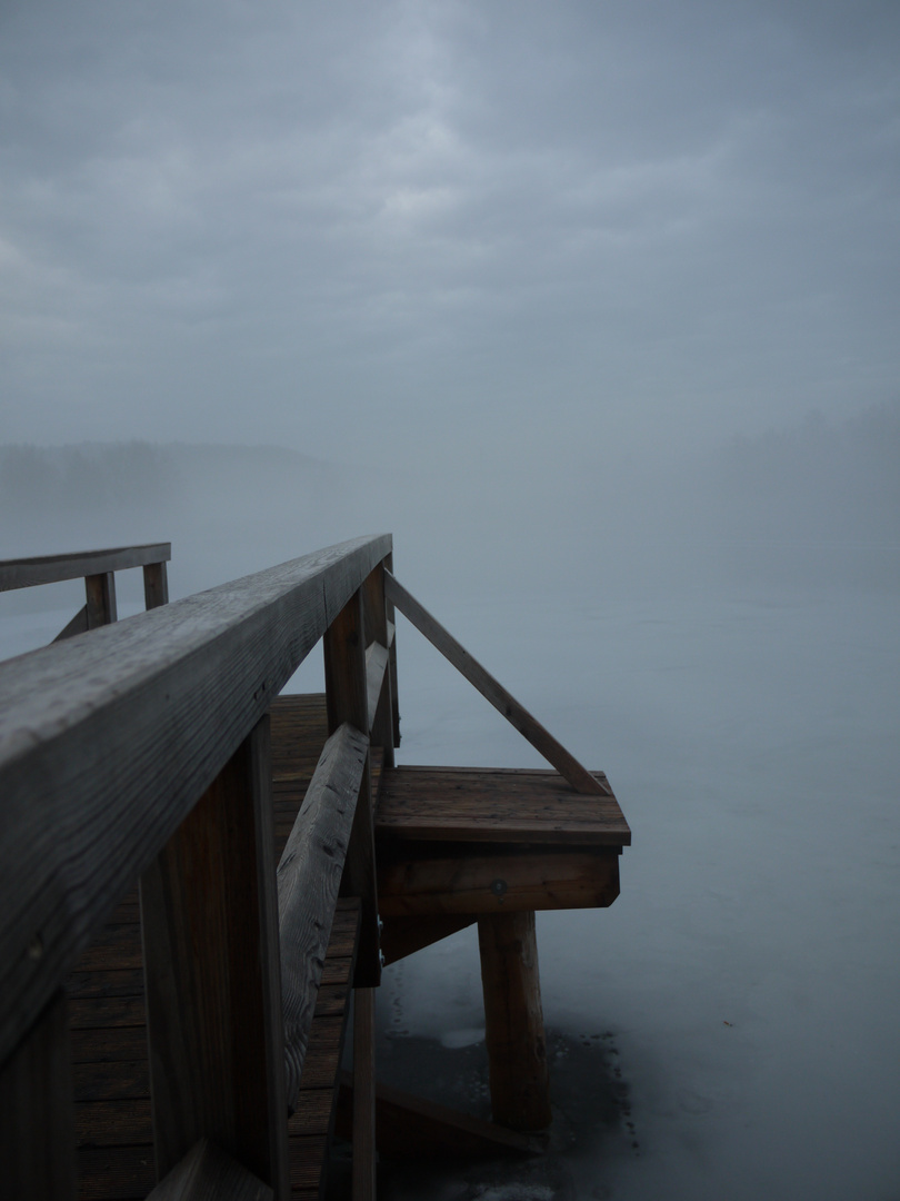 Nebel eingefangen