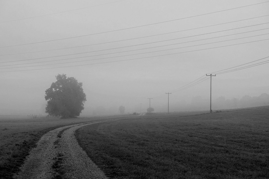 Nebel erleichert das Gradaus-Sehen