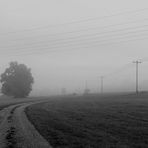 Nebel erleichert das Gradaus-Sehen