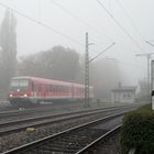 Nebel-Express