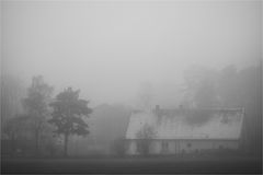 Nebel