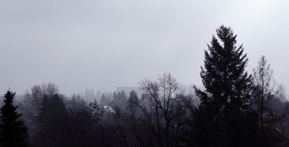 Nebel