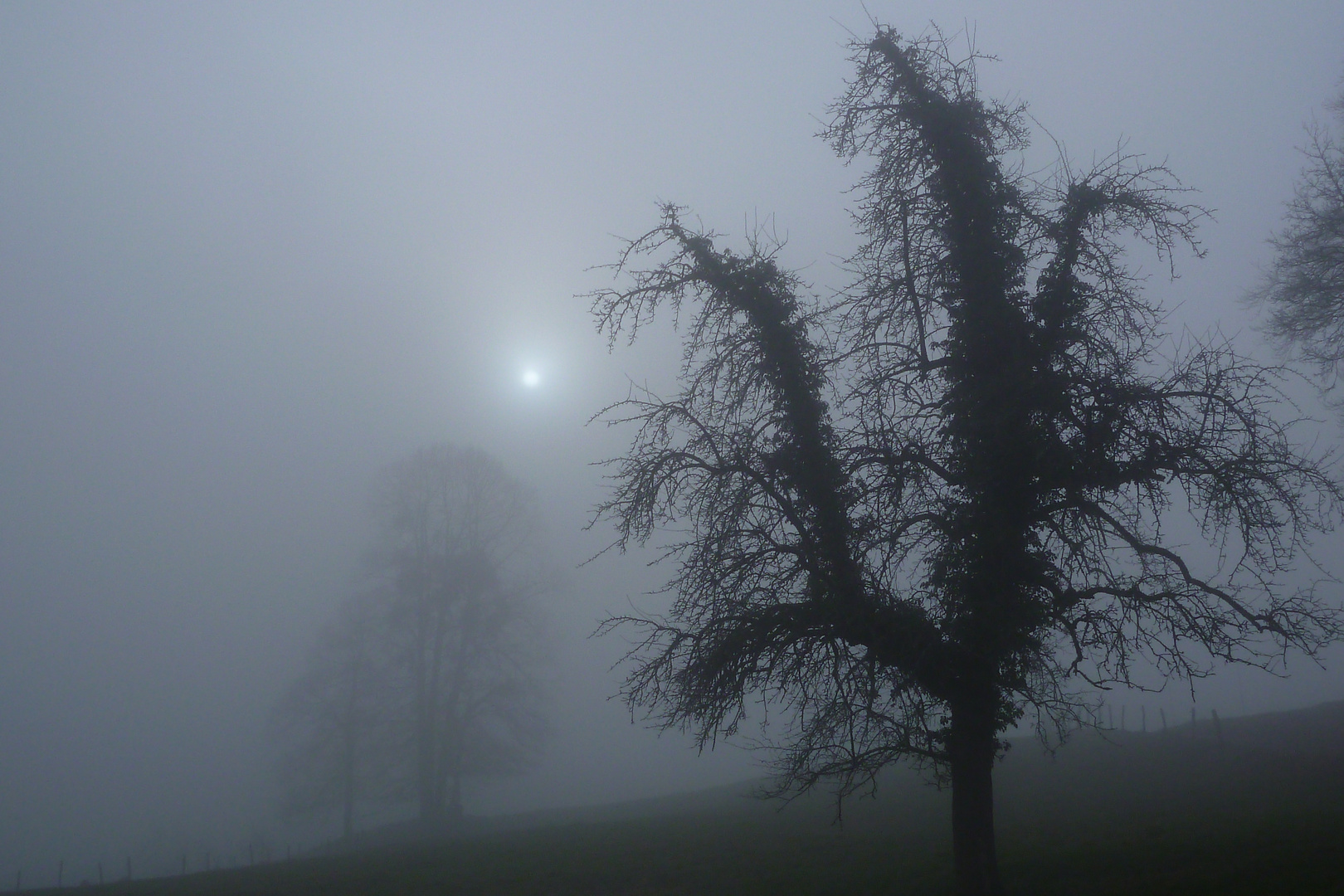 Nebel